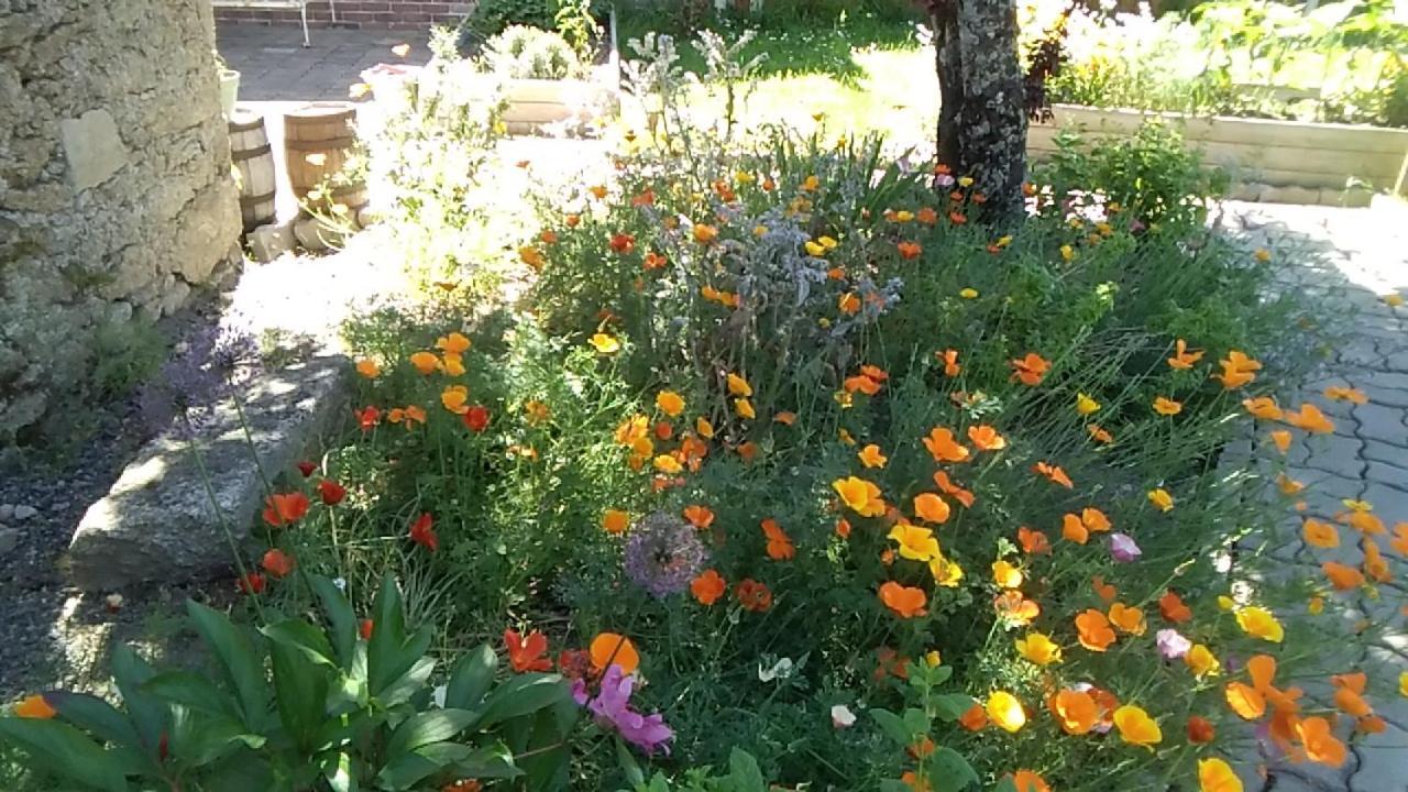 Bed and Breakfast Les Tournesols La Bernardiere Экстерьер фото