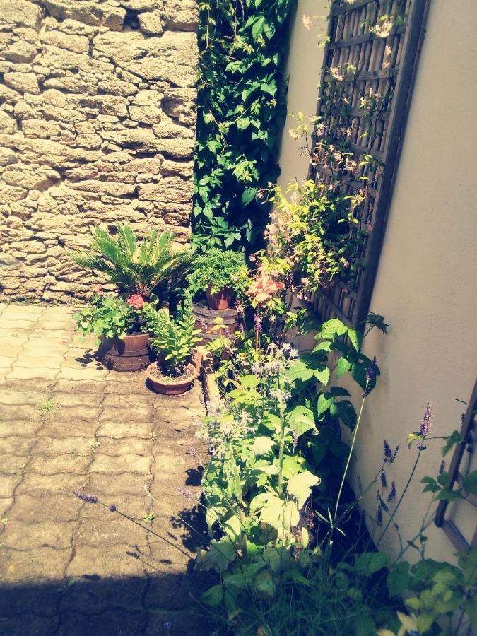 Bed and Breakfast Les Tournesols La Bernardiere Экстерьер фото